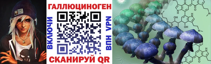 Купить где  Мелеуз  Псилоцибиновые грибы Magic Shrooms 